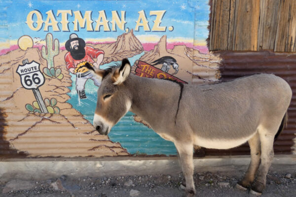 Oatman Ghost Town