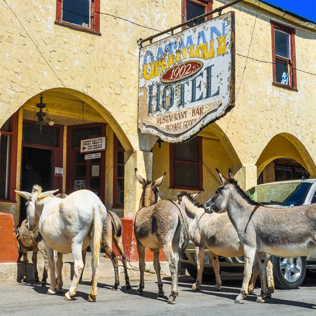 Oatman Hotel Restaurant & Saloon